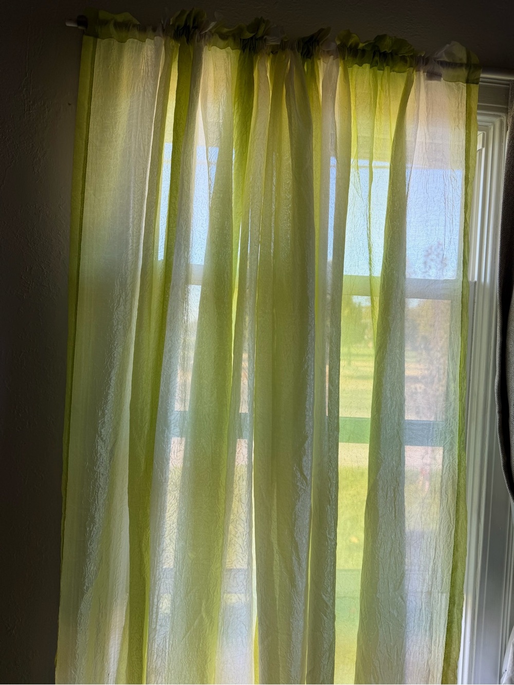 Sheer Lime Green Window Curtain Panel - Brand